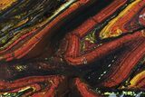 Polished Tiger Iron Stromatolite - ( Billion Years) #72904-1